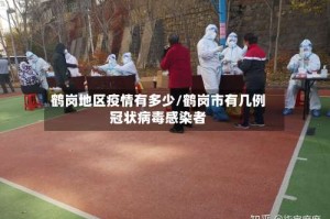 鹤岗地区疫情有多少/鹤岗市有几例冠状病毒感染者