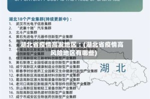 湖北省疫情高发地区︰(湖北省疫情高风险地区有哪些)