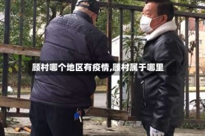 顾村哪个地区有疫情,顾村属于哪里