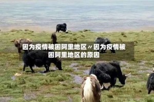 因为疫情被困阿里地区〃因为疫情被困阿里地区的原因