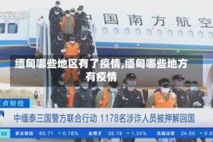 缅甸哪些地区有了疫情,缅甸哪些地方有疫情