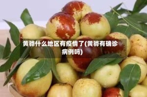 黄骅什么地区有疫情了(黄骅有确诊病例吗)