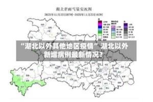 “湖北以外其他地区疫情” 湖北以外新增病例最新情况？