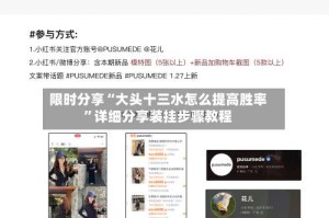 限时分享“大头十三水怎么提高胜率”详细分享装挂步骤教程