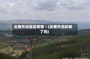 云南开远地区疫情︰(云南开远封城了吗)