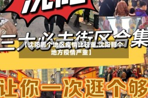 【沈阳哪个地区疫情比较重,沈阳那个地方疫情严重】