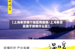 【上海奉贤哪个地区有疫情/上海奉贤区属于疫情什么区】