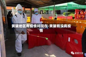 黄陂地区有疫情吗现在-黄陂有没有疫情