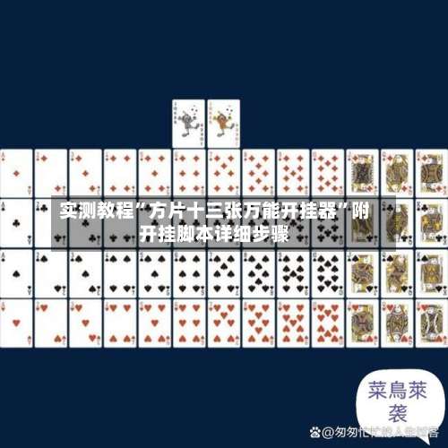实测教程”方片十三张万能开挂器”附开挂脚本详细步骤-第2张图片