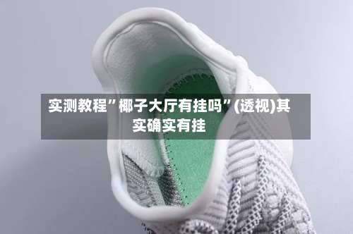 实测教程”椰子大厅有挂吗”(透视)其实确实有挂-第2张图片