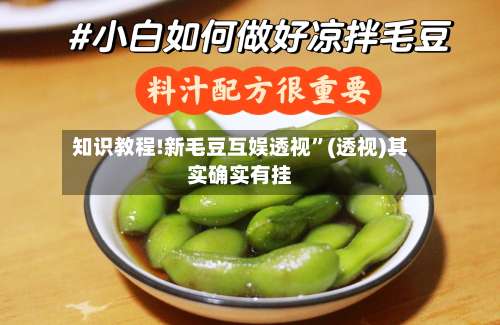 知识教程!新毛豆互娱透视”(透视)其实确实有挂-第1张图片