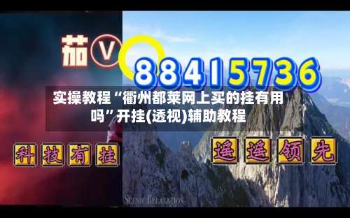 实操教程“衢州都莱网上买的挂有用吗	”开挂(透视)辅助教程-第1张图片