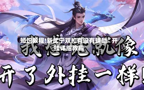 知识教程!新武宁双扣有没有辅助”开挂详细教程-第1张图片