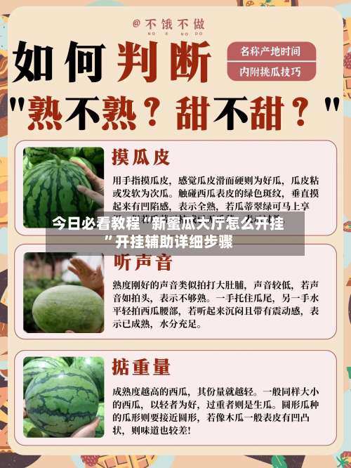 今日必看教程“新蜜瓜大厅怎么开挂	”开挂辅助详细步骤-第3张图片