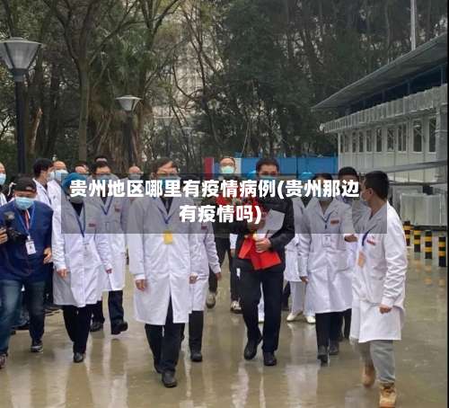 贵州地区哪里有疫情病例(贵州那边有疫情吗)-第3张图片