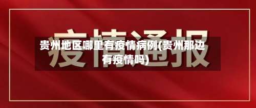贵州地区哪里有疫情病例(贵州那边有疫情吗)-第2张图片
