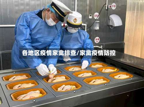 各地区疫情家禽排查/家禽疫情防控-第1张图片
