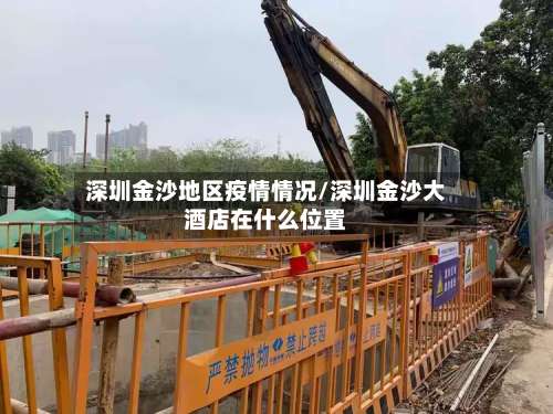 深圳金沙地区疫情情况/深圳金沙大酒店在什么位置-第1张图片