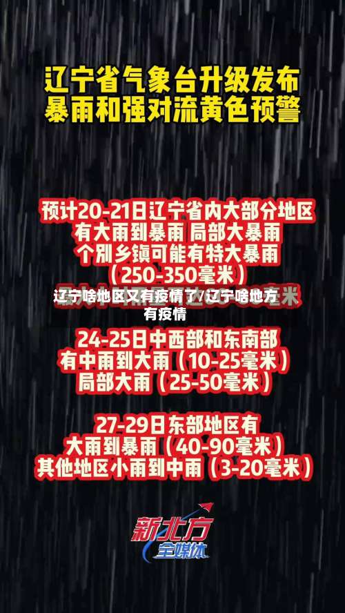 辽宁啥地区又有疫情了/辽宁啥地方有疫情-第1张图片