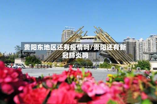 贵阳东地区还有疫情吗/贵阳还有新冠肺炎吗-第3张图片