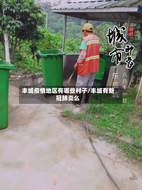 丰城疫情地区有哪些村子/丰城有新冠肺炎么-第3张图片