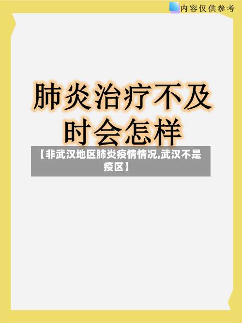 【非武汉地区肺炎疫情情况,武汉不是疫区】-第2张图片