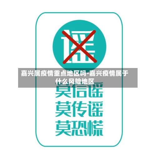 嘉兴属疫情重点地区吗-嘉兴疫情属于什么风险地区-第3张图片