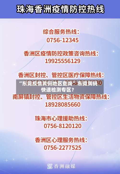 “东莞疫情黄码地区查询” 东莞黄码快速检测专区？-第2张图片