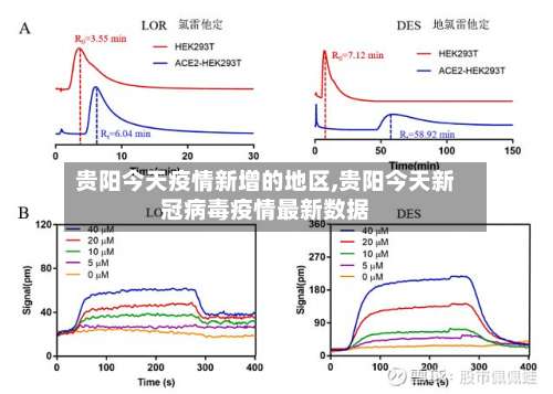 贵阳今天疫情新增的地区,贵阳今天新冠病毒疫情最新数据-第2张图片