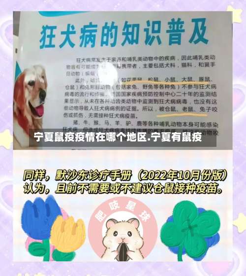 宁夏鼠疫疫情在哪个地区.宁夏有鼠疫-第3张图片