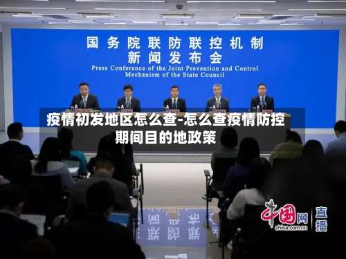 疫情初发地区怎么查-怎么查疫情防控期间目的地政策-第2张图片