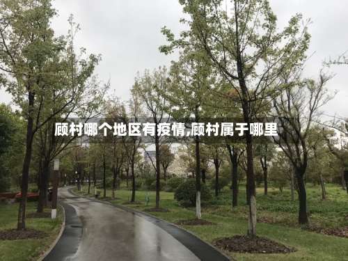 顾村哪个地区有疫情,顾村属于哪里-第2张图片