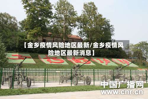 【金乡疫情风险地区最新/金乡疫情风险地区最新消息】-第1张图片