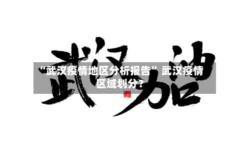 “武汉疫情地区分析报告	” 武汉疫情区域划分？-第2张图片