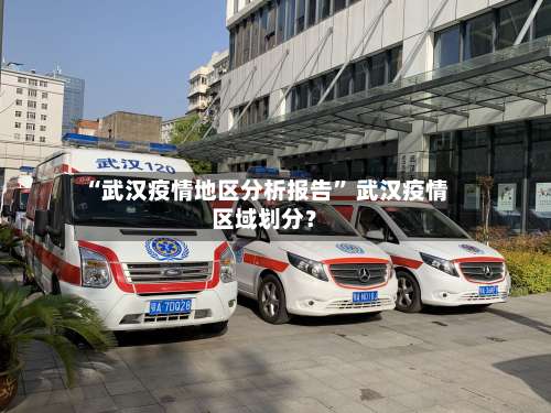 “武汉疫情地区分析报告” 武汉疫情区域划分？-第3张图片