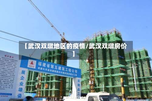 【武汉双墩地区的疫情/武汉双墩房价】-第2张图片