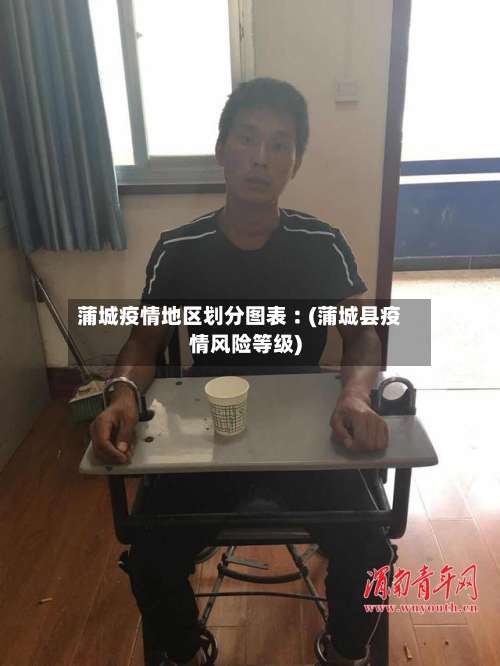 蒲城疫情地区划分图表︰(蒲城县疫情风险等级)-第3张图片