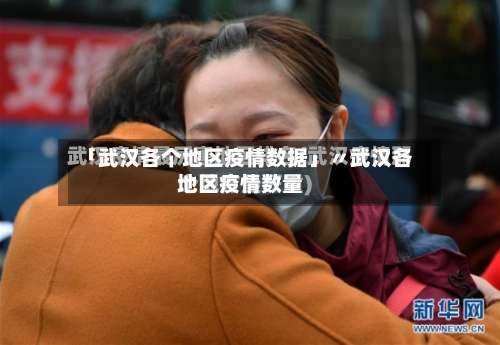 「武汉各个地区疫情数据」〃武汉各地区疫情数量-第3张图片